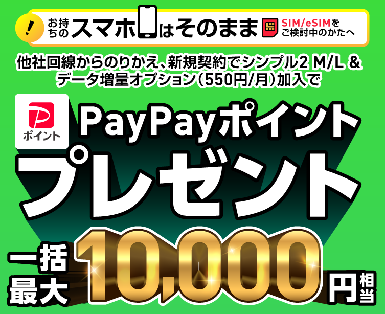 PayPayポイントプレゼント