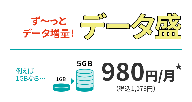 データ盛の1GB価格