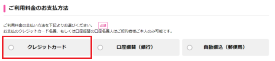クレジットカード払いの選択